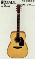 Ibanez-1974-3558-klein